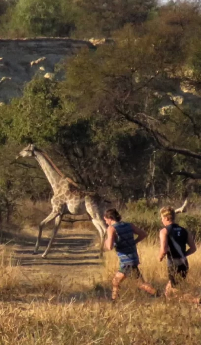 The Quest Experience - Courses