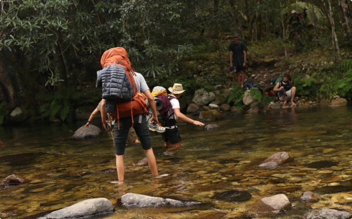 Embracing a growth mindset