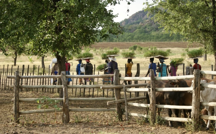 Quest Natural, Survival & Adventure