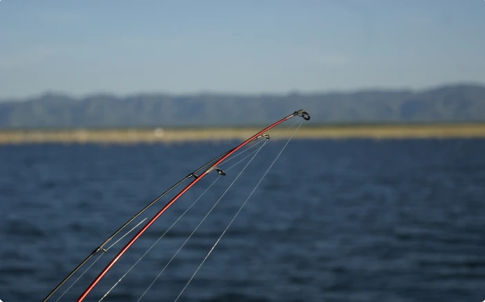 Quest Natural, Survival & Adventure