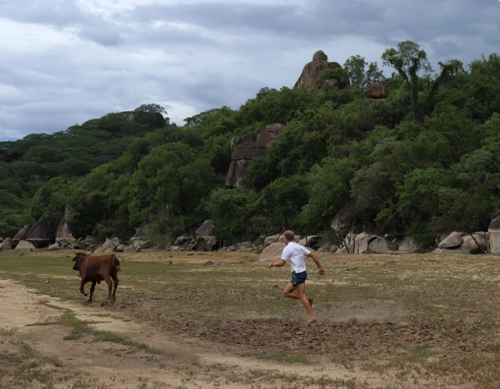 Quest Natural Acumen