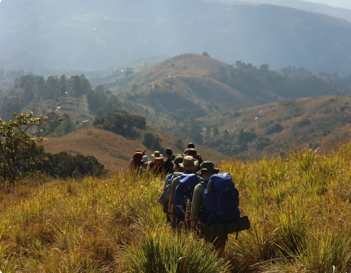 Quest Natural Acumen