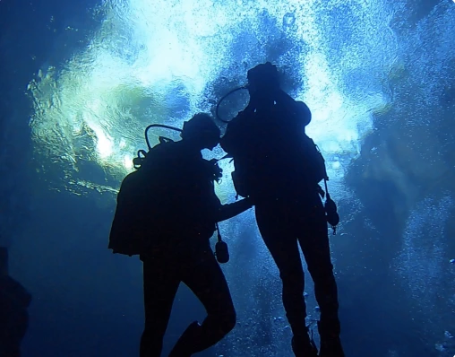 Quest Natural Acumen